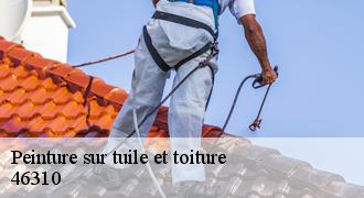 Peinture sur tuile et toiture