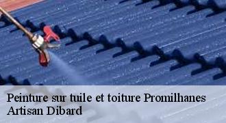 Peinture sur tuile et toiture