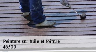 Peinture sur tuile et toiture