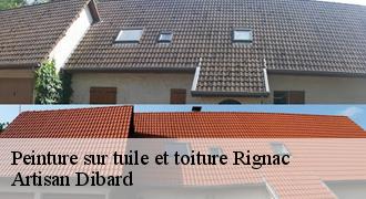 Peinture sur tuile et toiture