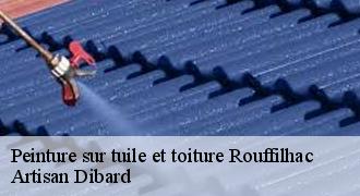 Peinture sur tuile et toiture