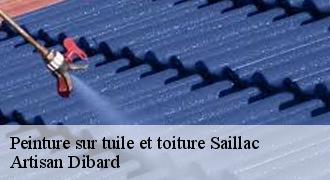 Peinture sur tuile et toiture