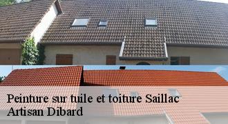 Peinture sur tuile et toiture