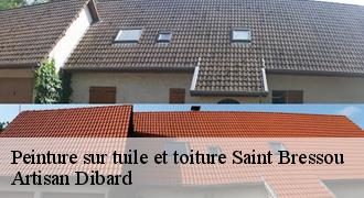 Peinture sur tuile et toiture