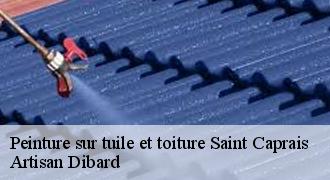 Peinture sur tuile et toiture