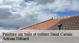 Peinture sur tuile et toiture