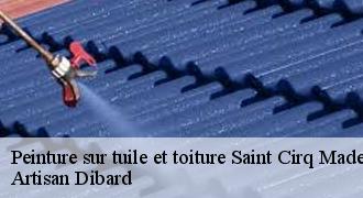 Peinture sur tuile et toiture
