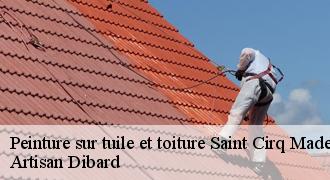 Peinture sur tuile et toiture
