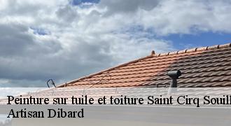 Peinture sur tuile et toiture