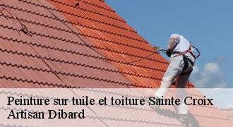 Peinture sur tuile et toiture