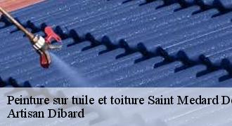 Peinture sur tuile et toiture