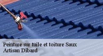 Peinture sur tuile et toiture