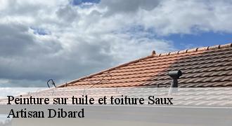 Peinture sur tuile et toiture