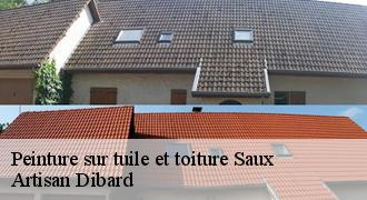 Peinture sur tuile et toiture
