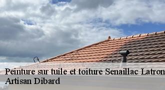 Peinture sur tuile et toiture