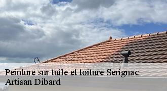 Peinture sur tuile et toiture