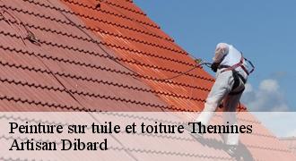 Peinture sur tuile et toiture