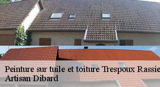 Peinture sur tuile et toiture