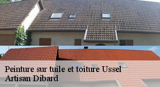 Peinture sur tuile et toiture
