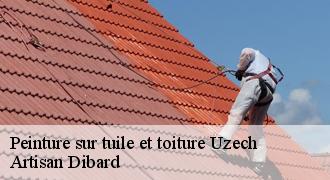 Peinture sur tuile et toiture