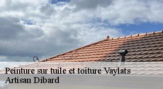 Peinture sur tuile et toiture
