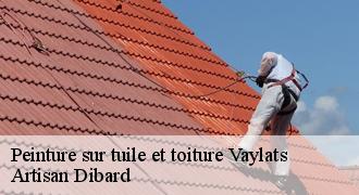 Peinture sur tuile et toiture