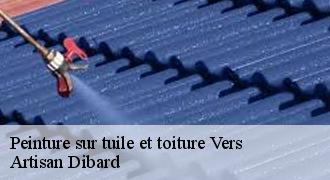 Peinture sur tuile et toiture
