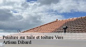 Peinture sur tuile et toiture