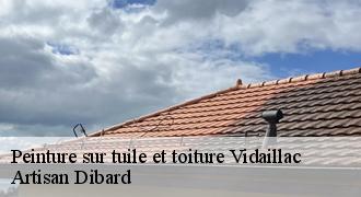 Peinture sur tuile et toiture