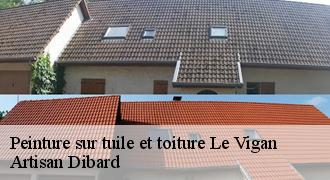 Peinture sur tuile et toiture
