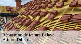 Réparation de toiture