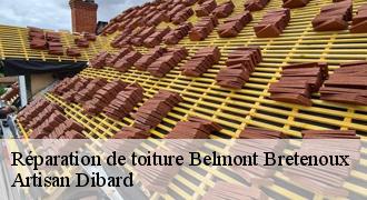 Réparation de toiture