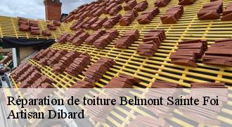 Réparation de toiture