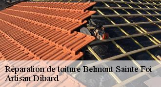 Réparation de toiture