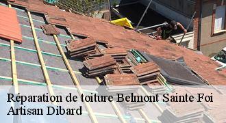 Réparation de toiture
