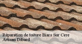 Réparation de toiture