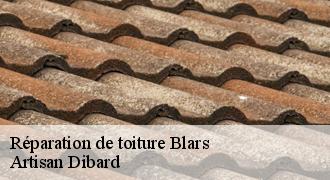 Réparation de toiture