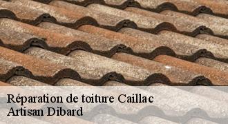 Réparation de toiture