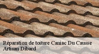 Réparation de toiture