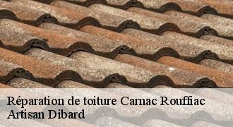 Réparation de toiture