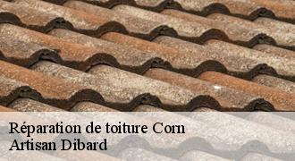 Réparation de toiture
