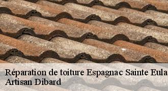 Réparation de toiture