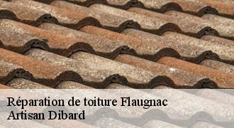 Réparation de toiture