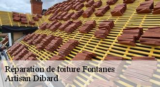 Réparation de toiture