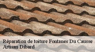 Réparation de toiture