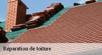 Réparation de toiture