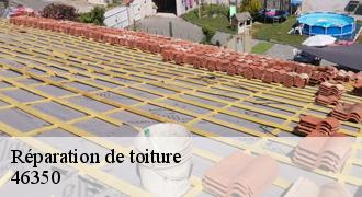 Réparation de toiture