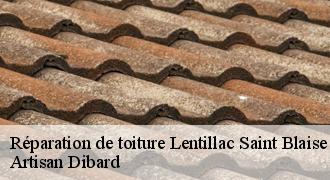 Réparation de toiture