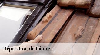 Réparation de toiture