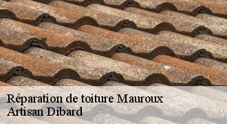 Réparation de toiture
